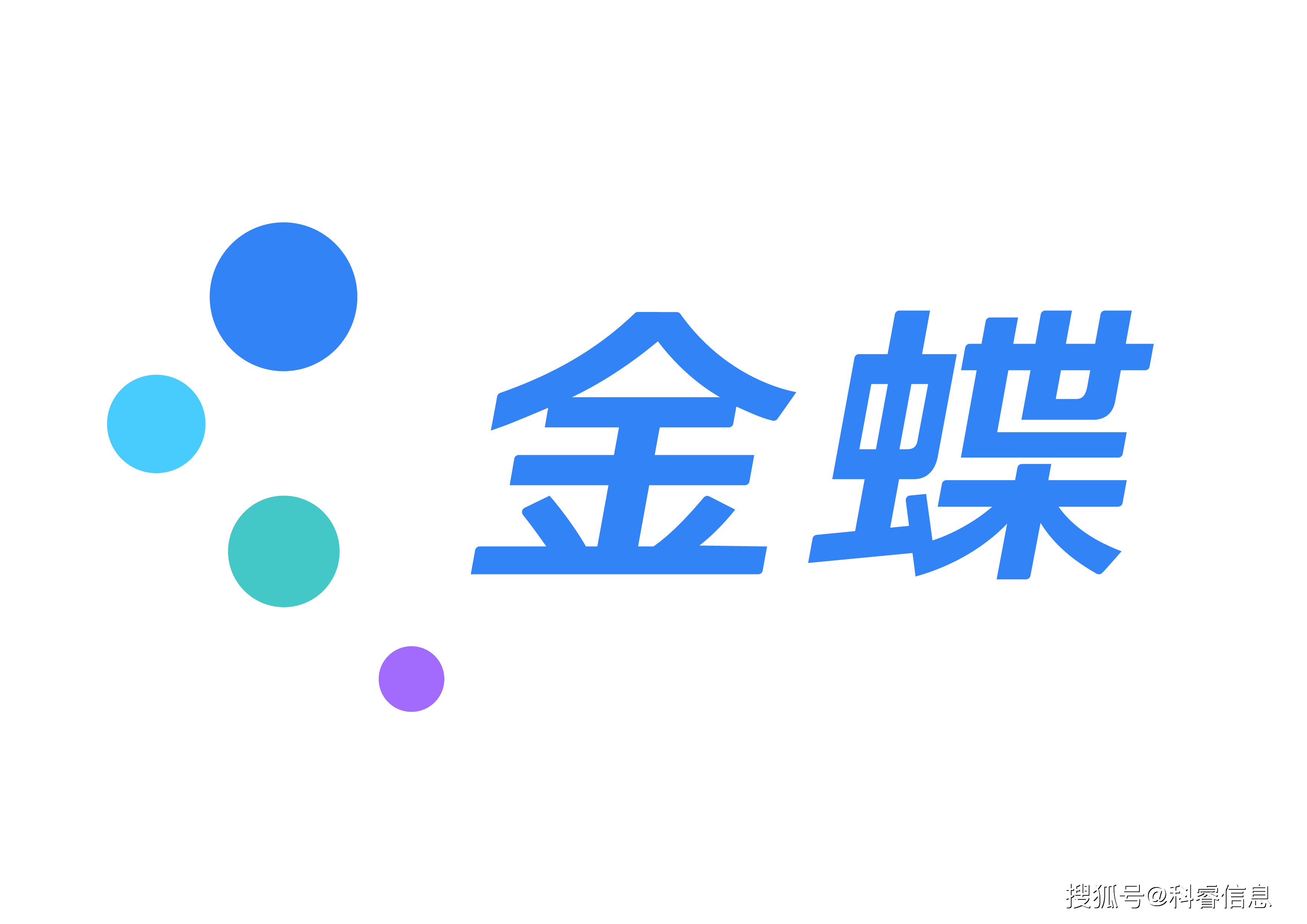 金蝶软件系统